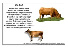 Kuh.pdf